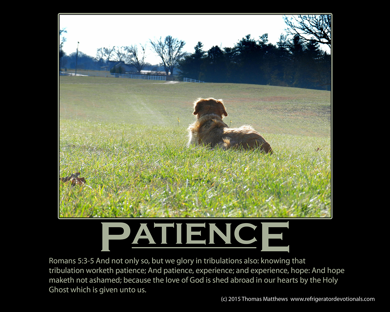 patience refrigerator devotionals tribulation works patience